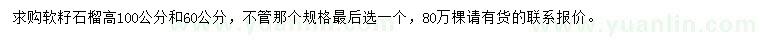 求購(gòu)高60、100公分軟籽石榴