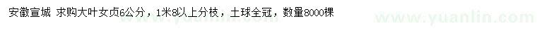 求購6公分大葉女貞