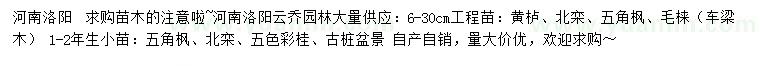 求購黃櫨、北欒、五角楓等