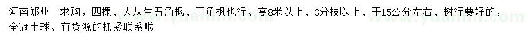 求購(gòu)高8米以上從生五角楓、三角楓