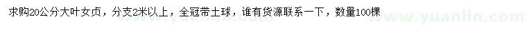 求購20公分大葉女貞