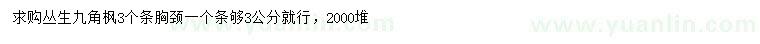 求購叢生九角楓