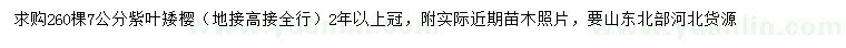 求購(gòu)7公分紫葉矮櫻