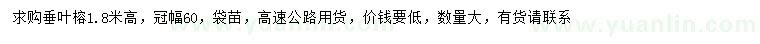 求購高1.8米垂葉榕