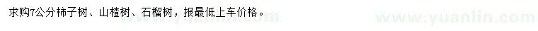求購(gòu)柿子樹(shù)、山楂樹(shù)、石榴樹(shù)