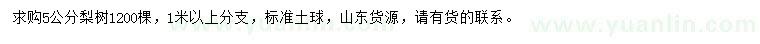 求購5公分梨樹