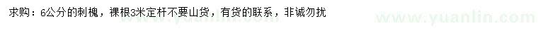 求購6公分刺槐