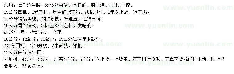 求購白蠟、國槐、法桐等