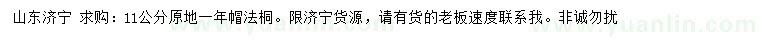 求購11公分法桐
