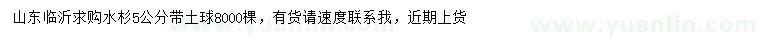 求購5公分水杉