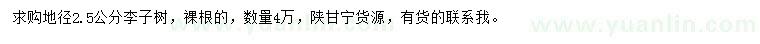 求購地徑2.5公分李子樹