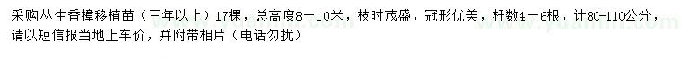 求購高8-10米叢生香樟移植苗