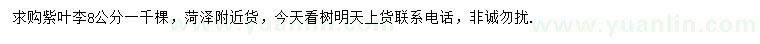 求購8公分紫葉李