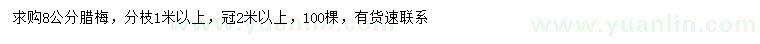 求購8公分臘梅