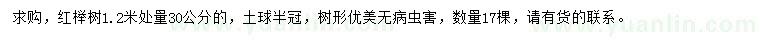 求購1.2米處量30公分紅櫸