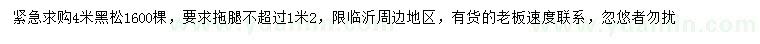 求購4米黑松