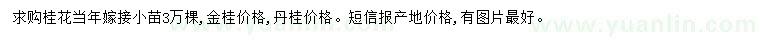求購桂花嫁接小苗