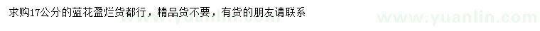 求購(gòu)17公分藍(lán)花盈