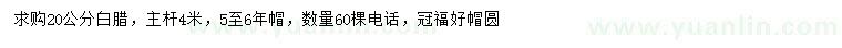 求購20公分白臘