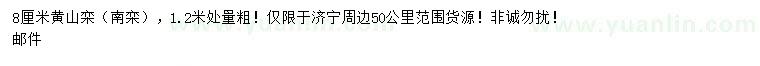 求購胸徑8公分黃山欒
