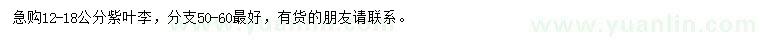 求購12-18公分紫葉李