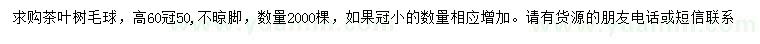 求購高60公分茶葉樹毛球