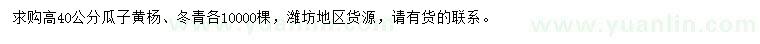 求購高40公分瓜子黃楊、冬青