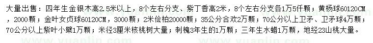 求購金銀木、紫丁香、黃楊球等