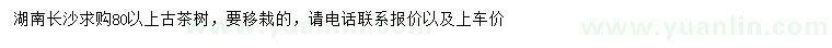 求購80公分以上古茶樹