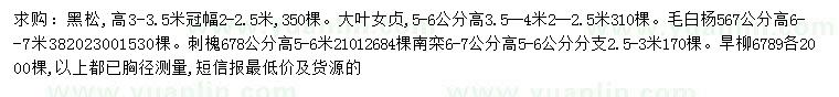 求購(gòu)黑松、大葉女貞、毛白楊等