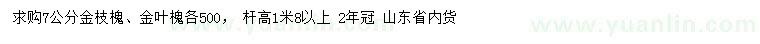 求購(gòu)7公分金枝槐、金葉槐