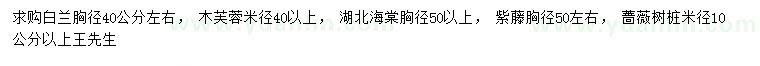 求購白蘭、木芙蓉、海棠等