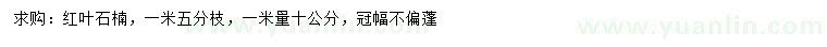 求購紅葉石楠