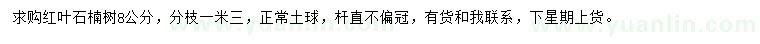 求購(gòu)8公分紅葉石楠樹