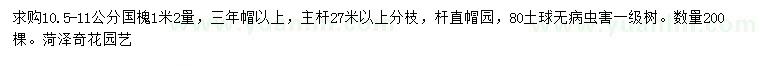 求購1.2米量10.5-11公分國槐