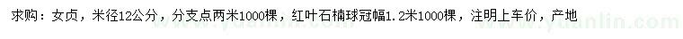 求購米徑12公分女貞