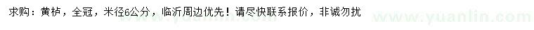 求購(gòu)米徑6公分黃櫨