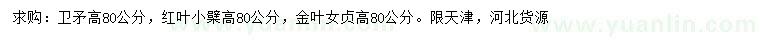 求購(gòu)衛(wèi)矛、紅葉小檗、金葉女貞