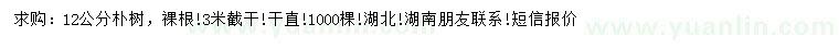 求購12公分樸樹