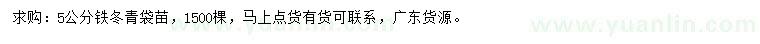 求購5公分鐵冬青袋苗