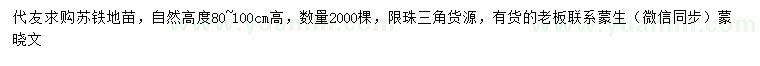 求購(gòu)高80-100公分蘇鐵地苗