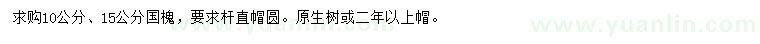 求購(gòu)10、15公分國(guó)槐