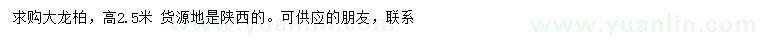 求購(gòu)高2.5米大龍柏
