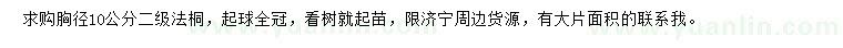 求購胸徑10公分法桐