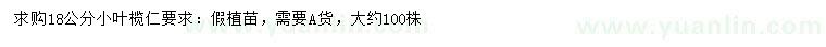 求購18公分小葉欖仁假植苗