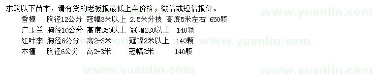 求購香樟、廣玉蘭、紅葉李等