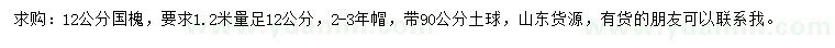 求購1.2米量12公分國槐