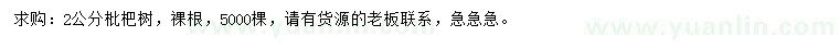 求購2公分枇杷樹