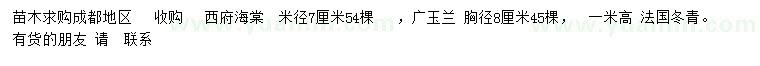 求購西府海、廣玉蘭、法國冬青