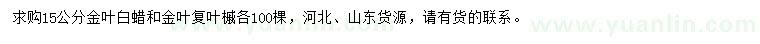 求購15公分金葉白蠟、金葉復(fù)葉槭
